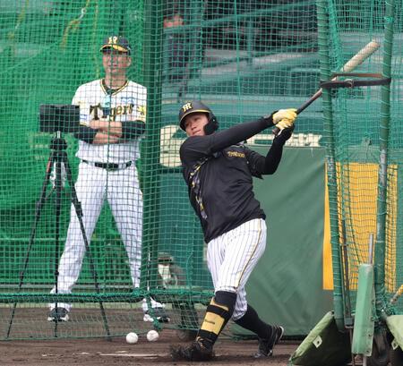 　打撃練習をする森下。後方は藤川監督（撮影・中田匡峻）