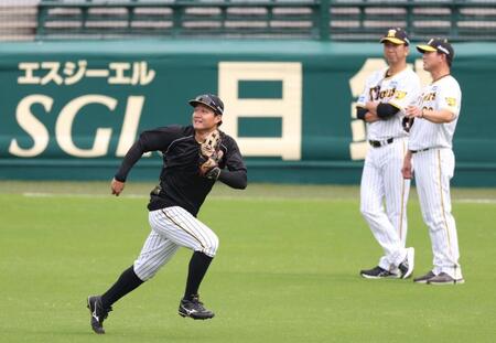 　打撃練習の打球を追う森下。後方右から筒井外野守備兼走塁チーフコーチと藤川監督（撮影・中田匡峻）