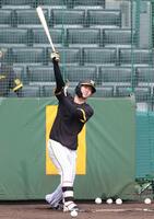 　打撃練習をする中野（撮影・中田匡峻）