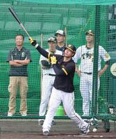 　打撃練習をする佐藤輝。後方右は藤川監督（撮影・中田匡峻）