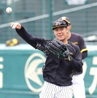 　外野でノックを受ける豊田＝撮影・中田匡峻