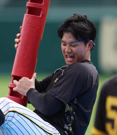 　体幹トレーニングをする森下（撮影・中田匡峻）