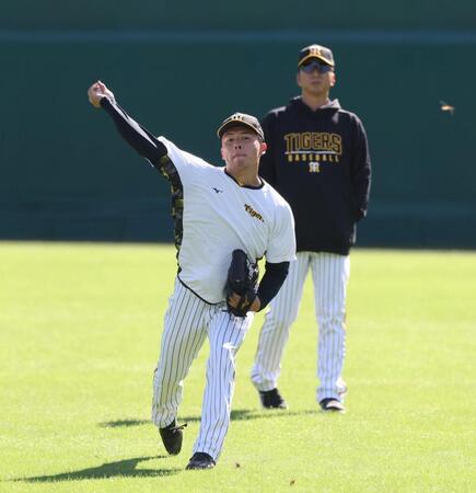 　藤川監督（後方）に見つめられながらキャッチボールをする椎葉（撮影・中田匡峻）