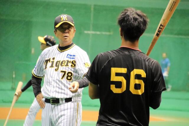 阪神タイガース　平田勝男　現2軍監督チャンピオンレプリカユニフォーム　M 阪神・平田2軍監督が“勝男節”さく裂 百崎を打撃指導、目標は