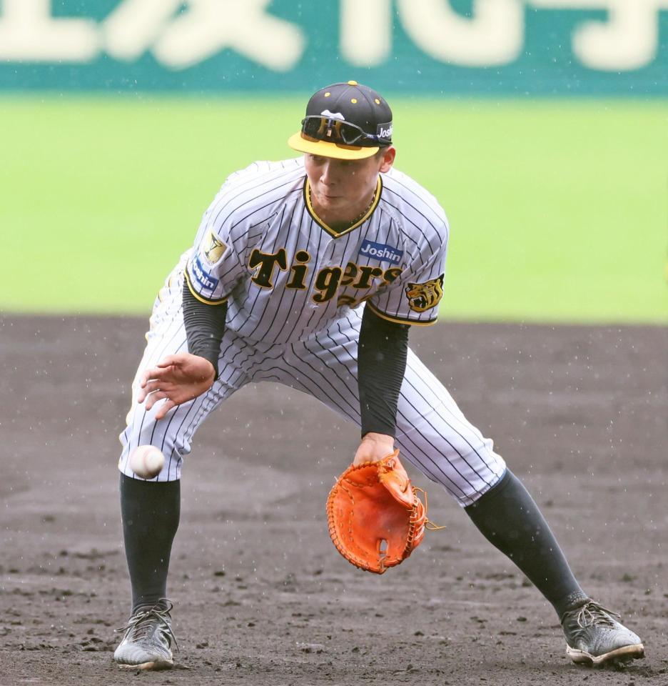 　一塁の守備に就きノックを受ける井上（撮影・立川洋一郎）