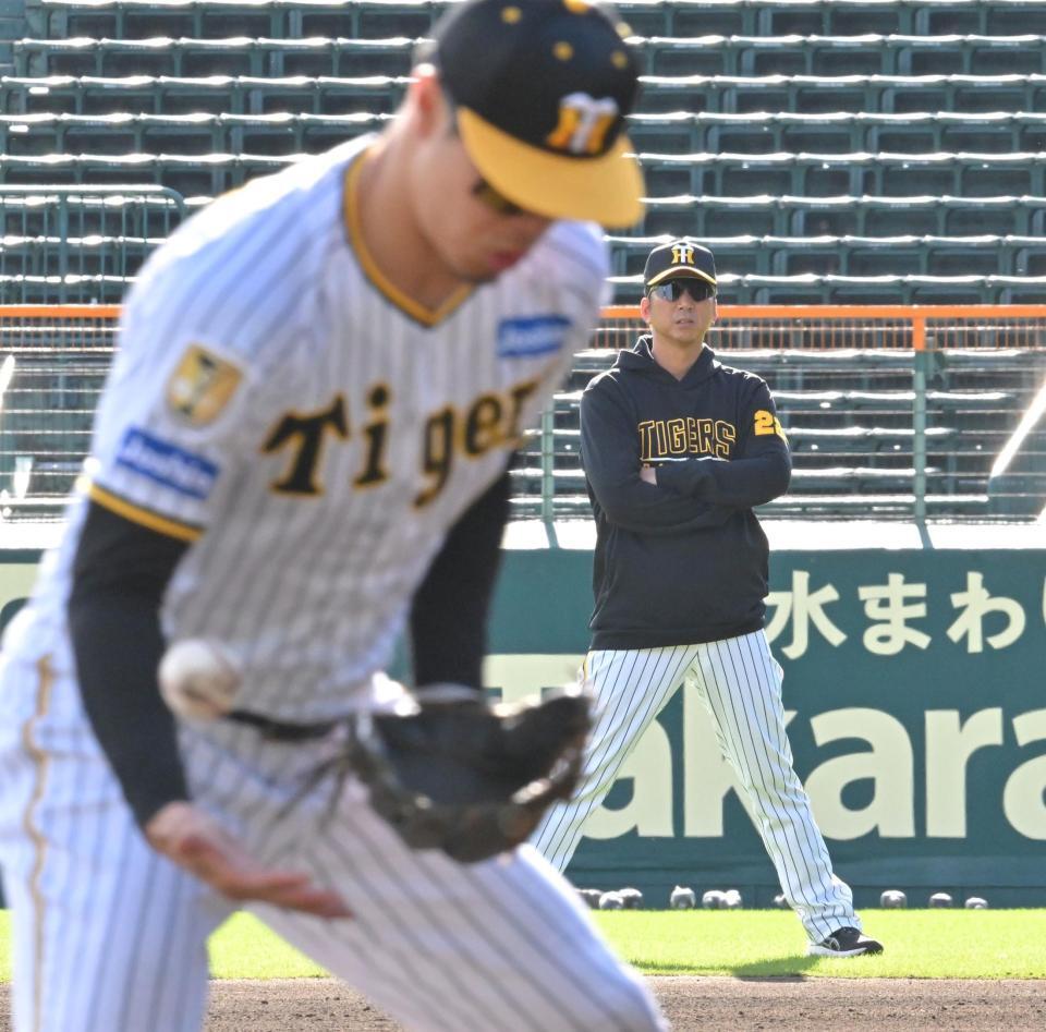 　佐藤輝のノックを受ける姿を見つめる藤川監督（右）＝撮影・北村雅宏