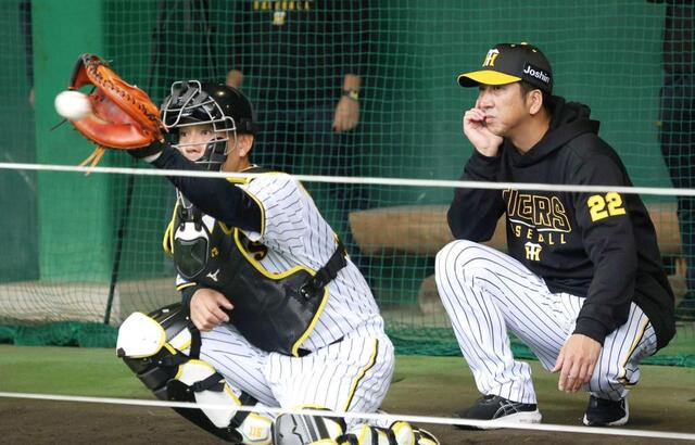 阪神タイガース　片山大樹ブルペン捕手　2003年　実使用ユニフォーム 2025年最新】実使用ユニフォーム 阪神の人気アイテム - メルカリ 阪神