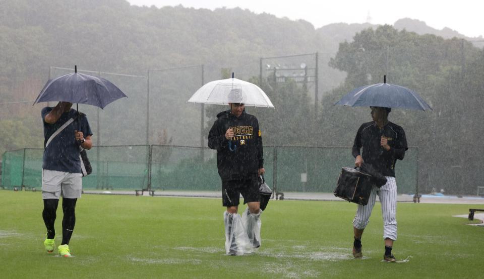 　豪雨の中、室内練習場に向かう（左から）西純、川原、津田（撮影・中田匡峻）