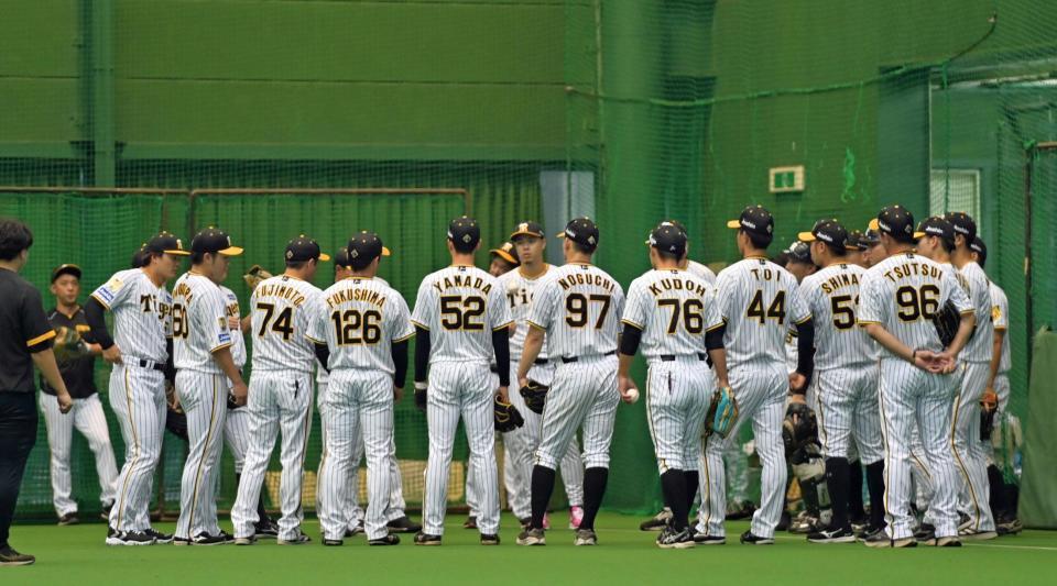 　午後からの練習をスタートさせ円陣を組む阪神野手陣（撮影・立川洋一郎）