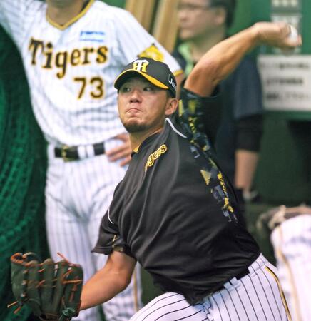 　キャッチボールする伊藤将（撮影・立川洋一郎）