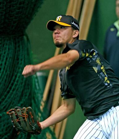 　キャッチボールする伊藤将（撮影・立川洋一郎）