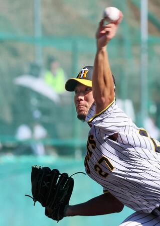 　紅白戦に先発し２回無安打無失点の好投を見せた伊藤将（撮影・立川洋一郎）