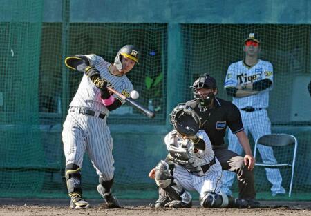 　６回、中前打を放つ佐藤輝。奥は藤川監督（撮影・中田匡峻）