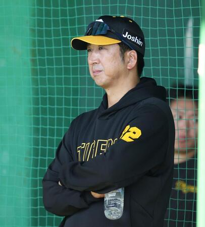 　ブルペンで投手陣の投球を見つめる藤川監督（撮影・中田匡峻）