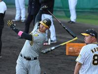 　特打で小谷野チーフ打撃コーチ（右）と打ち込みを図る佐藤輝（撮影・立川洋一郎）