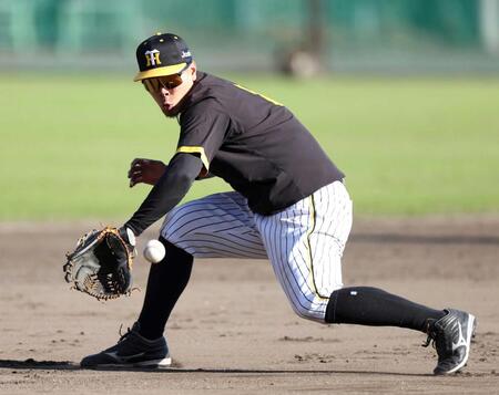 阪神・佐藤輝　“秀太式時短ノック”で守備磨く！