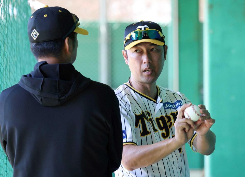 　藤川監督（左）と話す金村コーチ（撮影・中田匡峻）