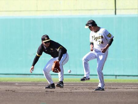 早出練習でノックを受ける井上。手前は藤本コーチ（撮影・中田匡峻）