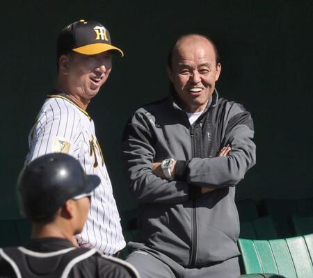 　キャンプ地を視察する岡田オーナー付顧問は長時間にわたって藤川監督と野球談議をする（撮影・田中太一）