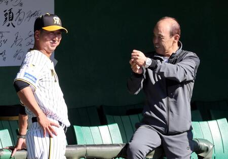 　キャンプ地を視察する岡田オーナー付顧問は長時間にわたって藤川監督と野球談議をする（撮影・田中太一）