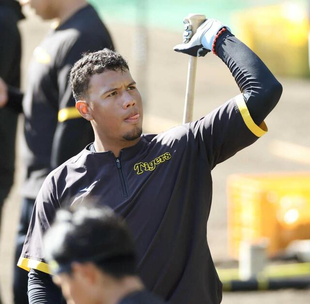 阪神・アルナエス 日本野球“入門”「小さいことをしっかりと」育成