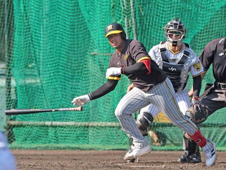 阪神・アルナエス　いきなり決めた！第１打席で初安打初打点　大谷翔平の「考えまねて」上々デビュー