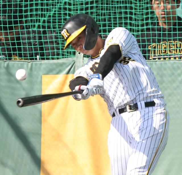 阪神 井上広大がランチ特打で大爆発 66スイングで20発の柵