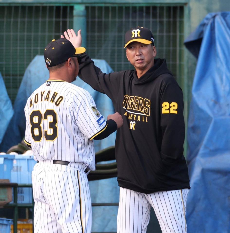 　紅白戦後、小谷野コーチ（左）と話す藤川監督（撮影・中田匡峻）