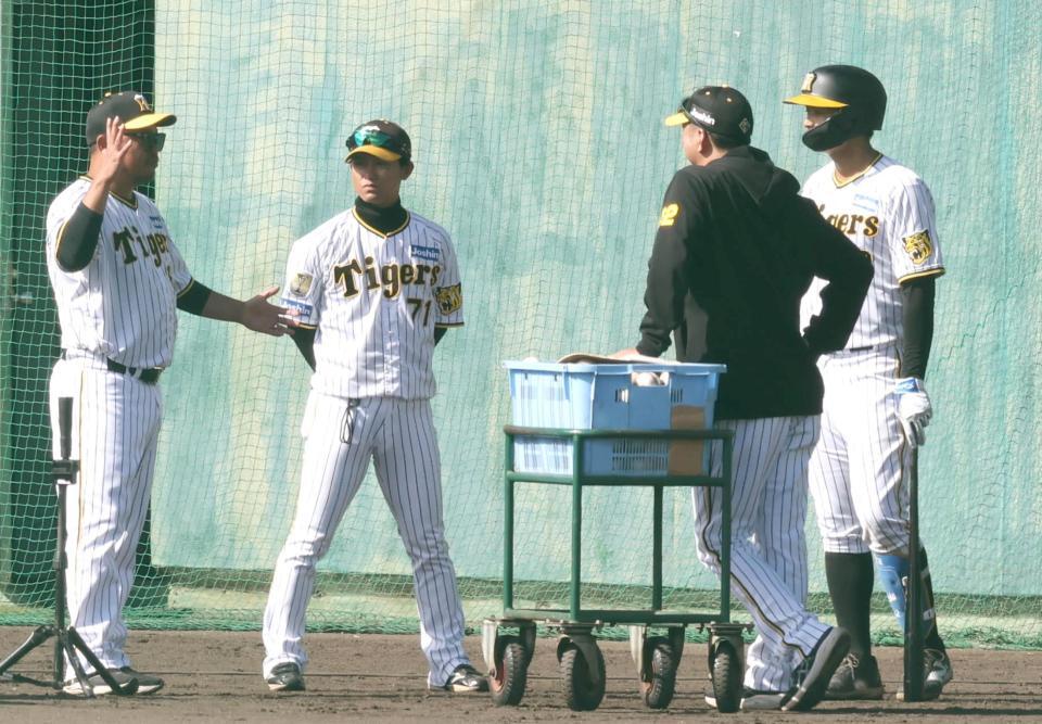 　ランチ特打を終えた（左から）井上は、藤川監督、上本コーチ、小谷野コーチから指導を受ける（撮影・田中太一）