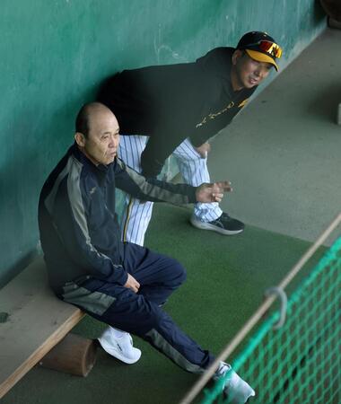 阪神・藤川監督　開幕投手巡る“メディア論”がおもしろい「（岡田）顧問ならね、『分かるかそんなもん』と（笑）」