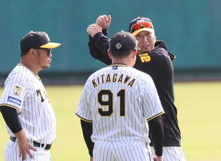　朝のアップ中、小谷野コーチ（左）、北川コーチと打撃の構えをしながら話をする藤川監督（撮影・田中太一）