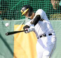 　ランチ特打で柵越えを連発する井上（撮影・田中太一）