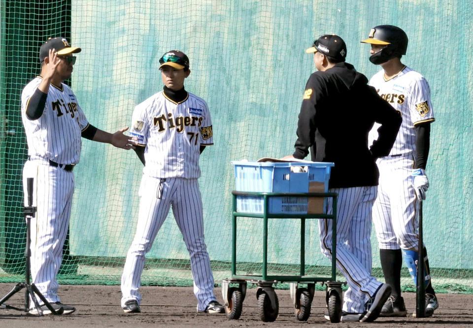 　特打を終えた（左から）井上は、藤川監督、上本コーチ、小谷野コーチから指導を受ける（撮影・田中太一）
