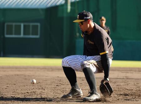 　ノックの打球がイレギュラーし、佐藤輝の後ろを通過する（撮影・中田匡峻）