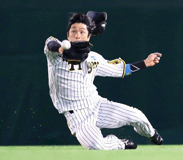 阪神タイガース 近本光司選手 ゴールデングラブ受賞記念直筆サイン色紙 61uixlw-7ZL._AC_SY200_QL15_.jpg
