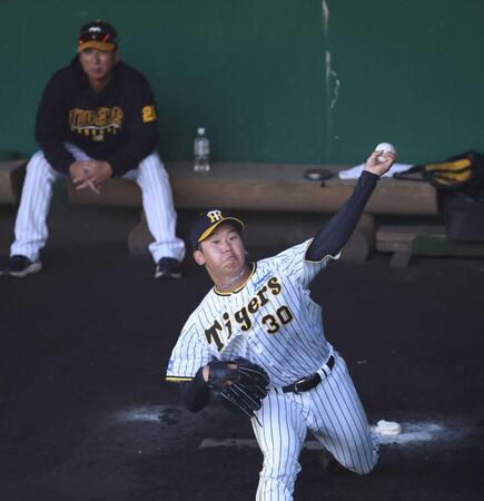 　藤川監督が見る中、投げ込む門別（撮影・田中太一）