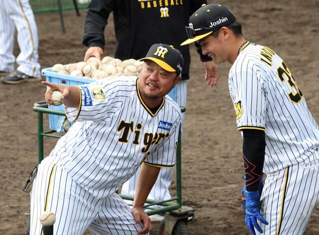 阪神・小谷野打撃チーフコーチ 選手と「一緒に成長、進化していく