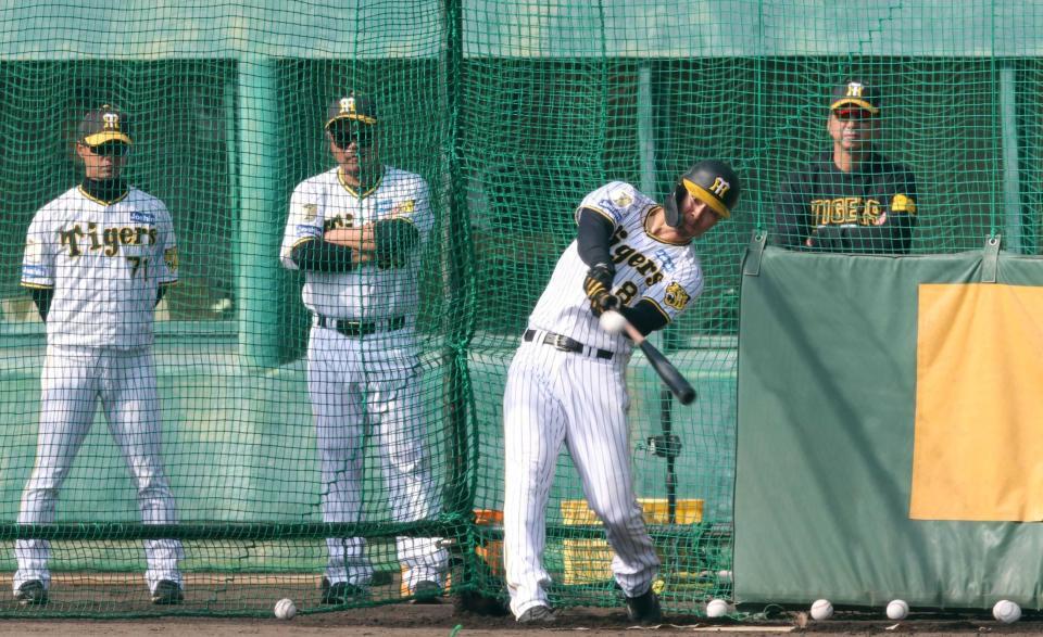 　（左から）上本打撃コーチ、小谷野打撃チーフコーチ、藤川監督が見つめる中、ランチ特打を行う佐藤輝（撮影・中田匡峻）