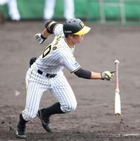 　５回、勝ち越し適時打を放つ井坪（撮影・中田匡峻）