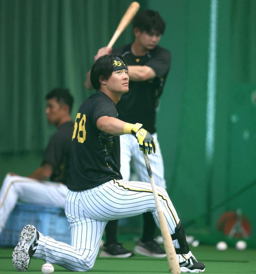 　打撃練習に汗を流す前川（撮影・中田匡峻）