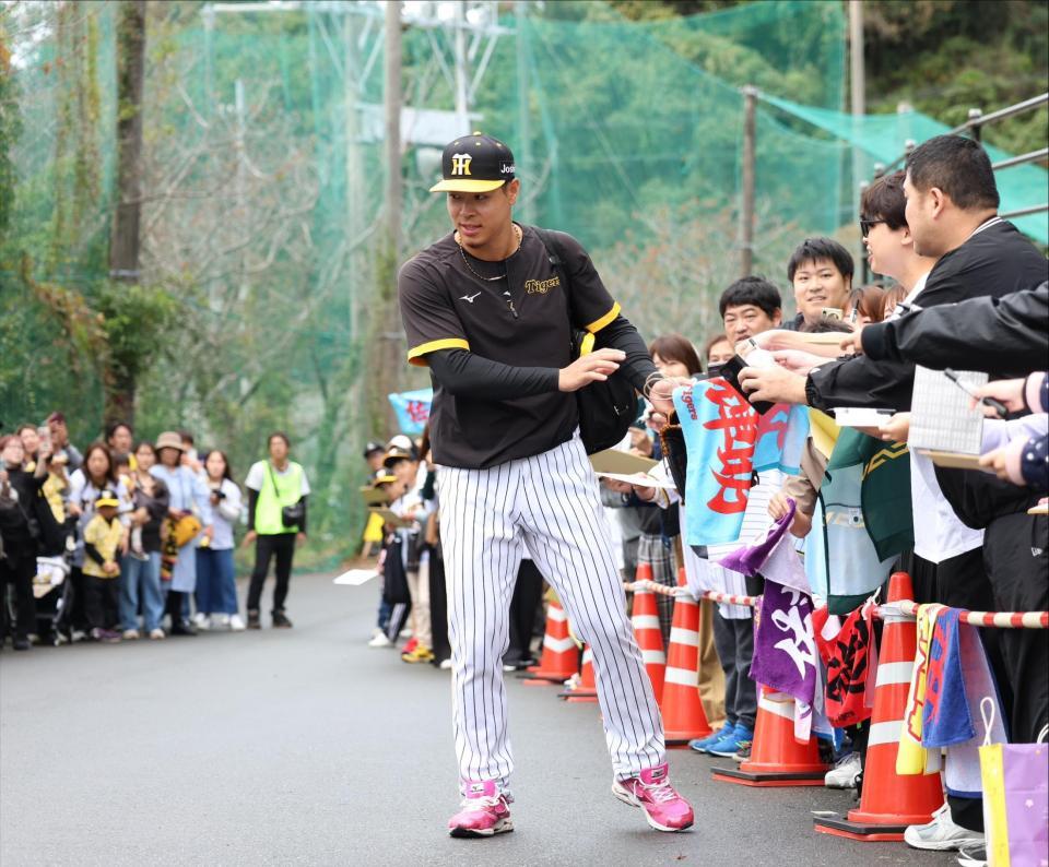 　多くのファンにサインをした佐藤輝（撮影・中田匡峻）