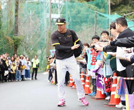 　秋季キャンプ最終日に多くのファンにサインする佐藤輝（撮影・中田匡峻）