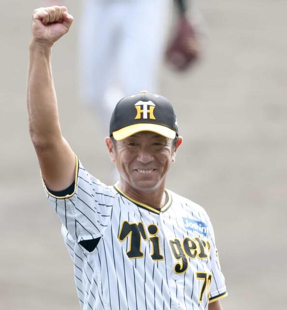 【通販 人気】 レア！ サムバット カナダ製 硬式用 85センチ 約914グラム MLB 記念バット