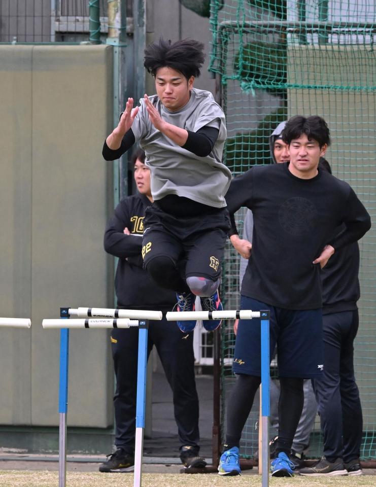 トレーニングする阪神・高橋遥人（中央）＝鳴尾浜（撮影・北村雅宏）