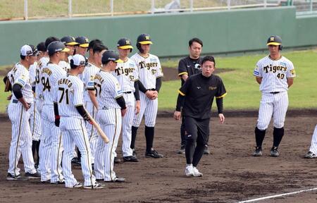 阪神・藤川監督　春季Ｃ臨時コーチに赤星氏＆サンズ駐米スカウト呼ぶ「若い選手の糧に」