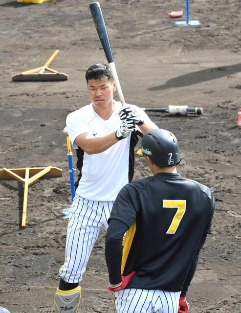 藤川監督　糸井ＳＡに佐藤輝預ける！