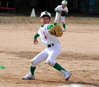 　横屋川井少年野球部時代の今朝丸（家族提供）