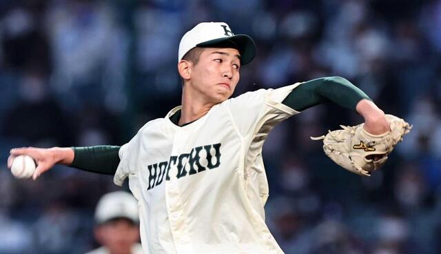 158阪神頑張れ元値45000円高級豹柄生地280250センチ 158阪神頑張れ❢元値45000円高級豹柄生地280✕250センチ 公式通販