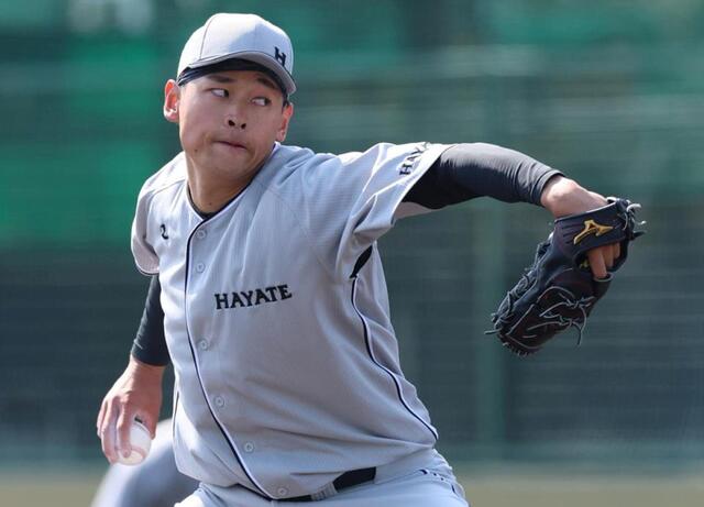 新品未開封 阪神タイガース早川太貴選手タオル 育成時代背番号