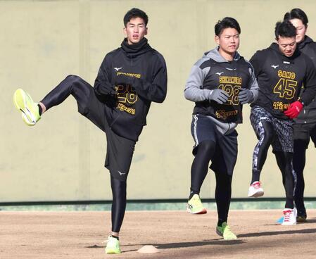 　ウオーミングアップをする（左から）今朝丸、嶋村、佐野（撮影・田中太一）